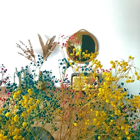Koroni House *